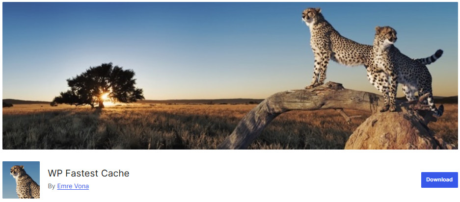 plugin cache tot nhat cho wordpress ma ban nen dung wp fastest cache